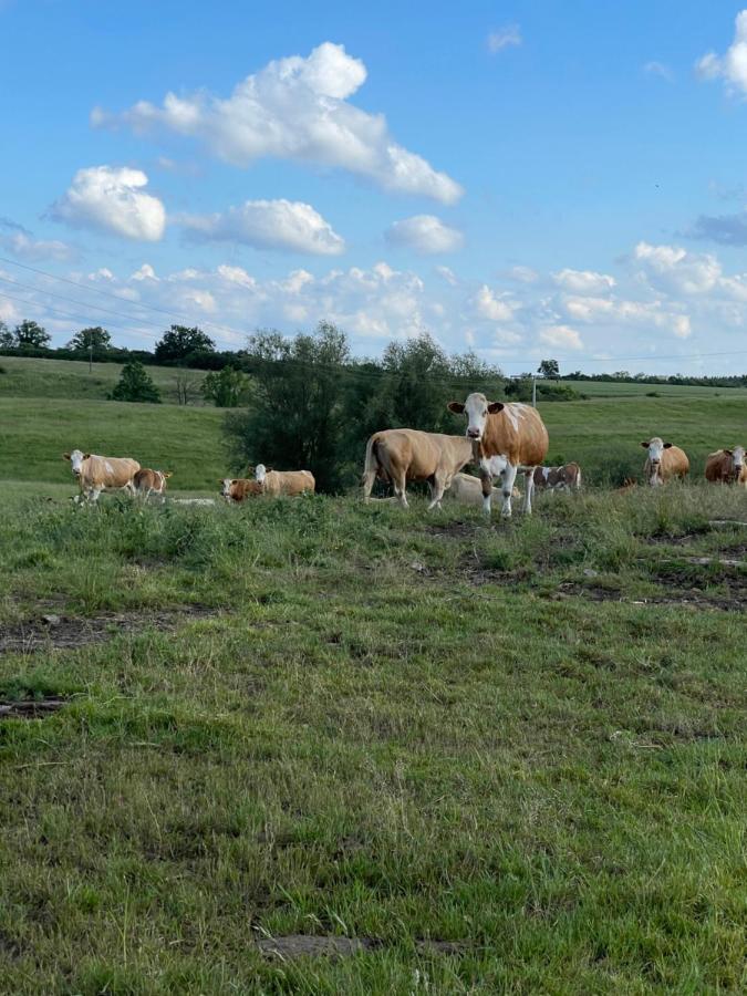 Radlerzimmer Mit Duschbad Und Minikueche In Neu Gaarz, Mitten In Der Natur Exterior photo